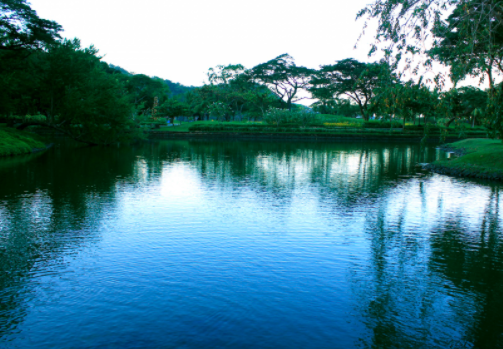 A lush blue pond surrounded by greenery. Provided by Our Beautiful Earth. 